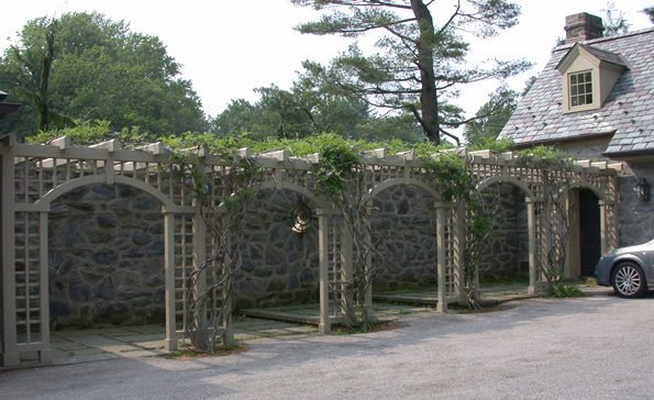 Arbor for Wisteria Vines
